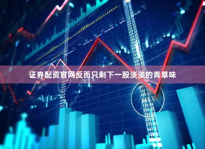 证券配资官网反而只剩下一股淡淡的青草味