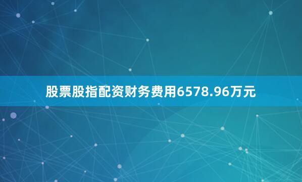 股票股指配资财务费用6578.96万元