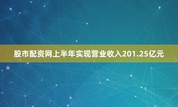 股市配资网上半年实现营业收入201.25亿元
