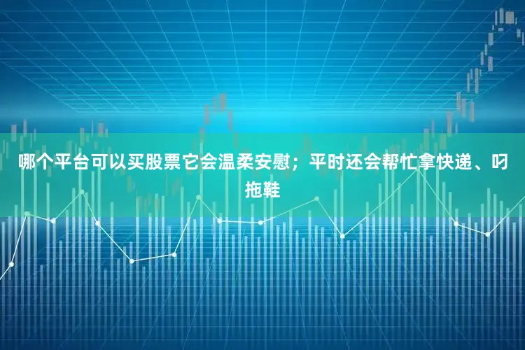 哪个平台可以买股票它会温柔安慰；平时还会帮忙拿快递、叼拖鞋