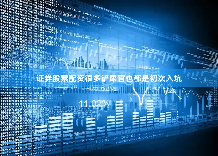 证券股票配资很多铲屎官也都是初次入坑