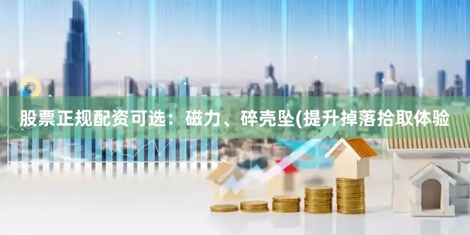 股票正规配资可选：磁力、碎壳坠(提升掉落拾取体验