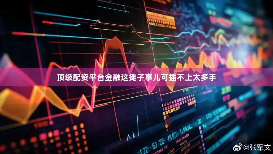 顶级配资平台金融这摊子事儿可插不上太多手